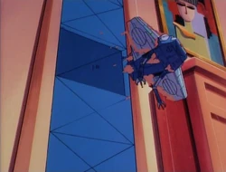 Knows its way home like a dog