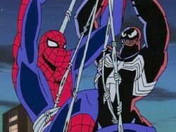 Spider got caught in the web