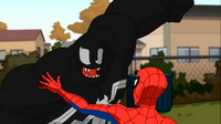 Venom vs Spider-Man