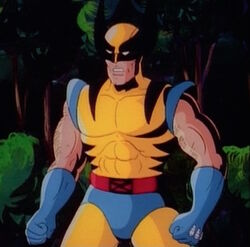 Wolverine.jpg