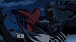 Venom Spider-Man Fighting USM