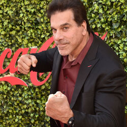 Lou Ferrigno