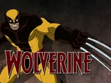 Wolverine (Marvel Universe)