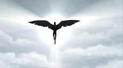 An Angel from the heavens