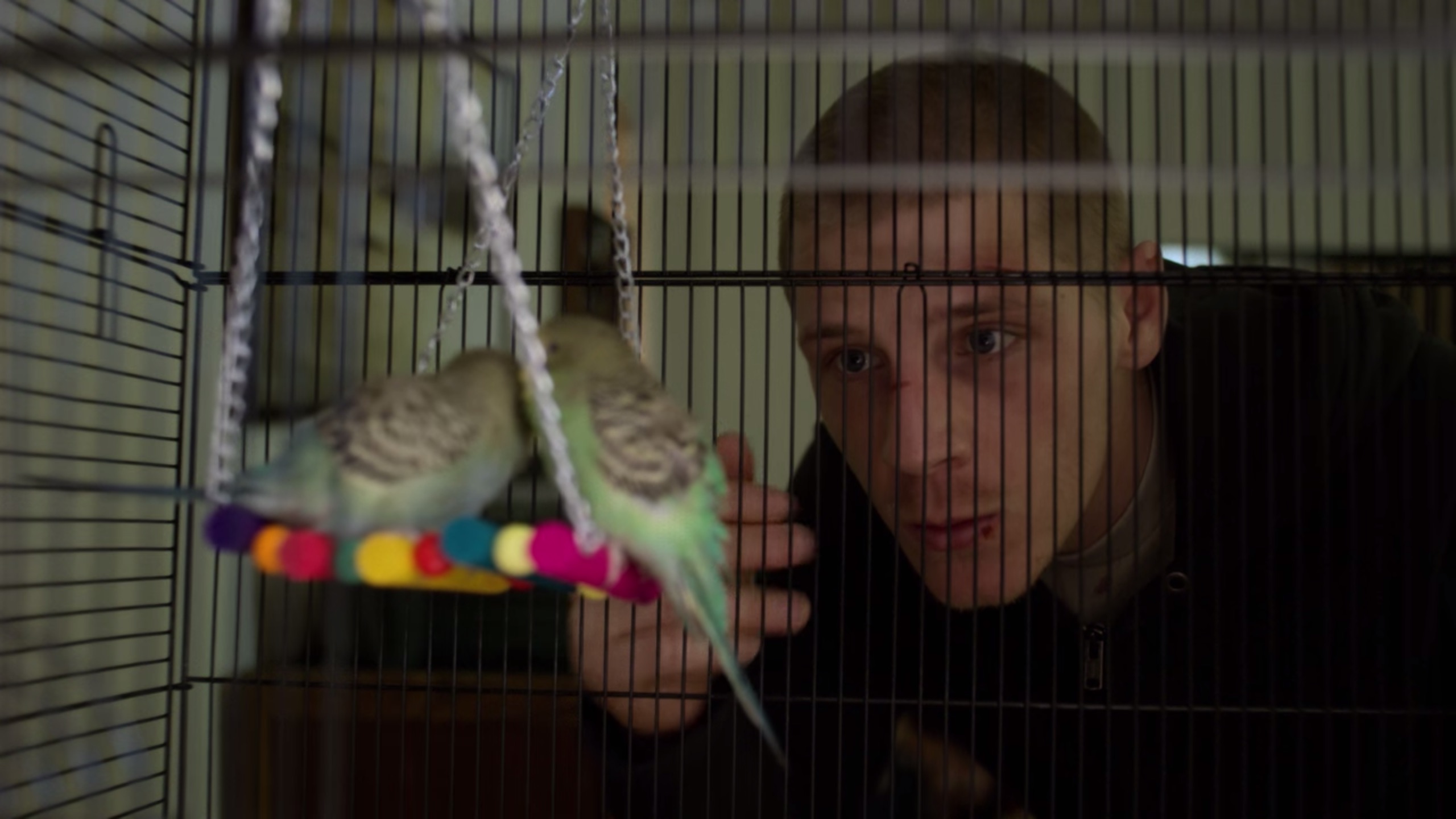 cage 1.3.9 cage 1.3.9
