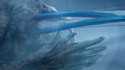 Body fluids being harvested from  to create GH