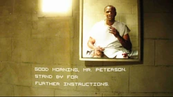 Майк Питерсон получает сообщение от "Сороконожки"