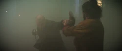 Waleed fighting against 