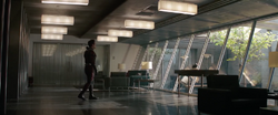 Ant-Man sees birds appear out of nowhere