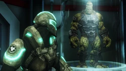 Ceres Leader Bi-Beast