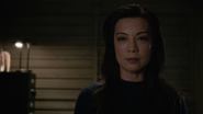 Melinda May (7x7)