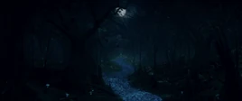 Sendero de las Brujas