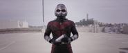 Ant-Man (Quantum Field Trip)