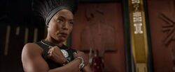Black Panther (film) 127.jpg