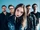 Marmozets