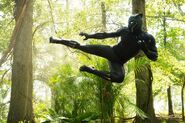 AIW BTS Black Panther (Air Kick)