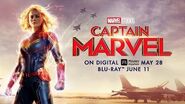 Marvel Studios' Captain Marvel Pre-Order Now!