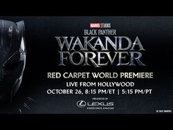 Black Panther: Wakanda Forever finds a new way to break ground for