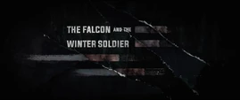 The Falcon and the Winter Soldier