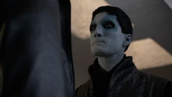 Касиус и  смотрят на битву .