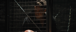 Punisher begins his escape