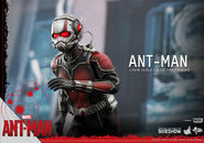 Ant-Man Hot Toys 11