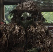 Porcupine