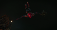 Spidey night diving