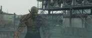 Korg
