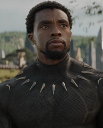 T Challa Marvel Cinematic Universe Wiki Fandom