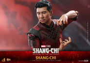 Shang-Chi Hot Toys5