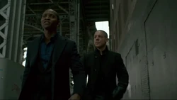 ZipWalkingWithShades