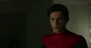 Peter Parker Spider-Man NWH