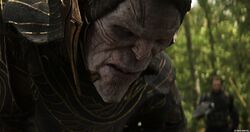 Corvus Glaive (Upclose).jpg