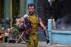 Wolverine & Dogpool