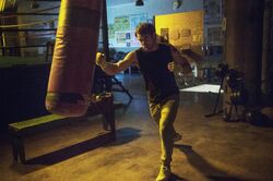 Into the Ring