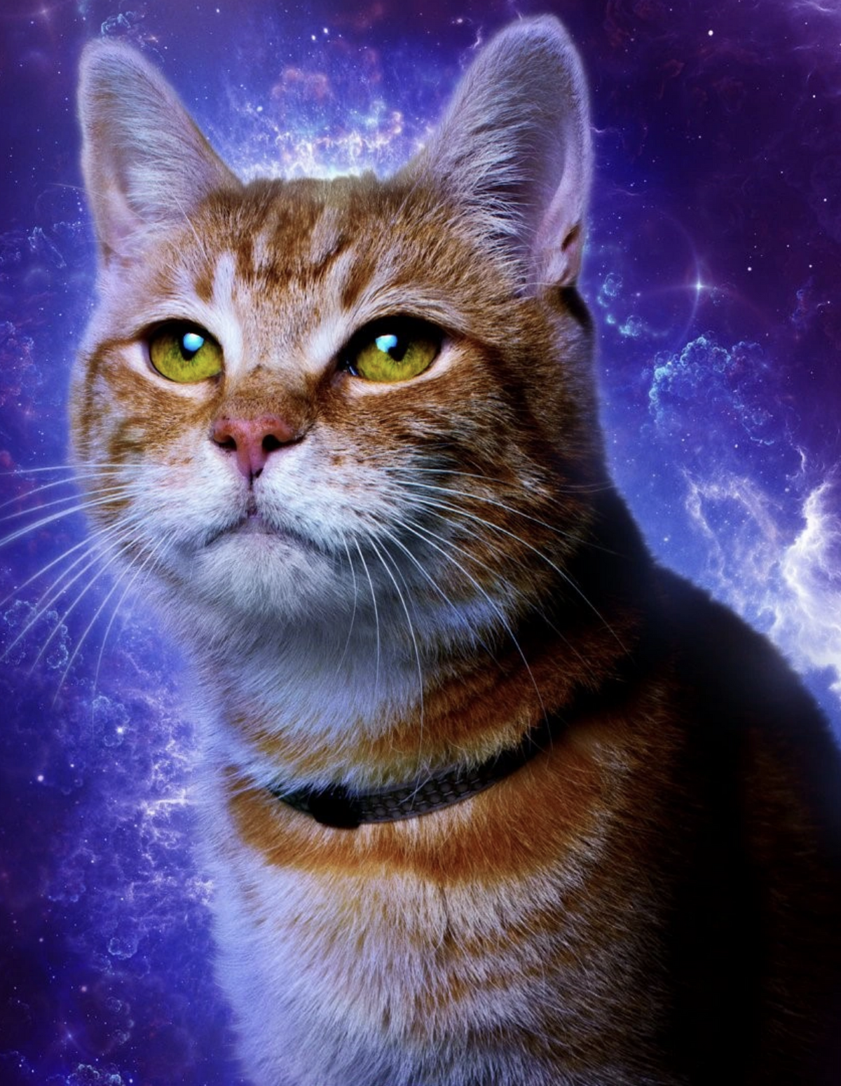 The Space Cat, In a galaxy far away, A Space Cat chose to s…