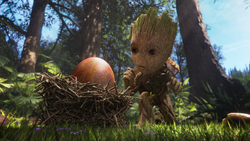 Groot finds bird egg