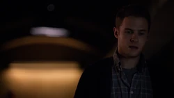 Фитц следует за  на 