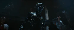 The new Black Panther