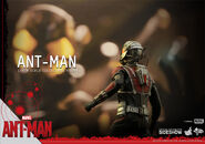 Ant-Man Hot Toys 16