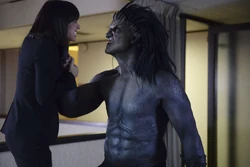 Lash-strangles-RosalindPrice