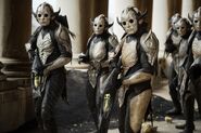 A Group of Dark Elf Warriors