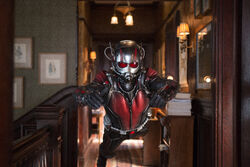 Honey, I shrunk the superhero: 'Ant-Man' is a bite-size delight