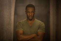 Bittersweet. Fandom wiki updated the Captain America page to Sam Wilson's  Cap and Steve Rogers' to just Steve Rogers. Awesome for Sam, sad for Steve.  : r/marvelstudios