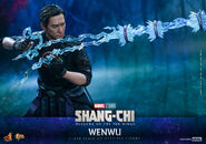 Mandarin Hot Toys14