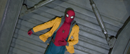 Spider-Man (D.O.D.C. Vault)