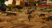 Ant-Man (film) 63