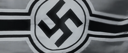 Nazi flag