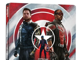 The Falcon and The Winter Soldier/Home Video